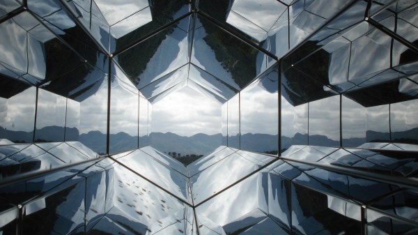 alejandra delle piane homo web